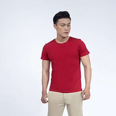 Áo thun nam cổ tròn Novelty 190153N