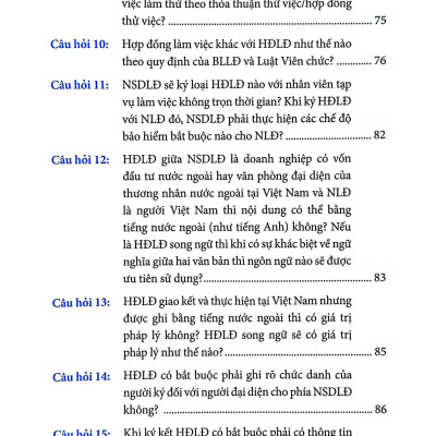 Sách - Các Câu Hỏi Khó Về Pháp Luật Lao Động