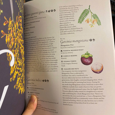 Sách - The Complete Language of Trees: A Definitive and Illustrated History by S. Theresa Dietz