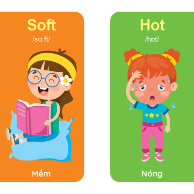 Bộ Sách - My First Picture Book 2 - Song Ngữ Anh Việt - Bìa Cứng 8 Chủ Đề Quét QR File Nghe