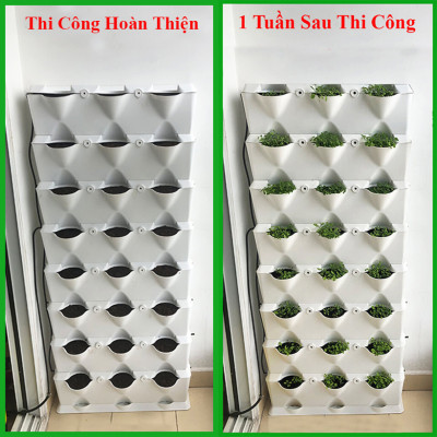 Chậu Trồng Cây Đứng kèm Hệ Thống Tưới Nhỏ Giọt  và bón Phân Cho Cây (Hàng Nhập Khẩu - Combo 8 Module)