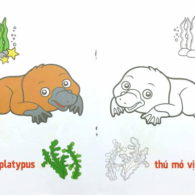 Tô Màu Động Vật Sống Dưới Nước - Song Ngữ Anh-Việt - Tập 3 (Tái Bản 2023)