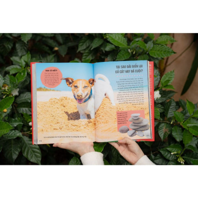 Sách - Bách khoa thư Britannica dành cho trẻ em - Cuốn sách khổng lồ giải đáp 100++ câu hỏi TẠI SAO hóc búa - Đinh Books