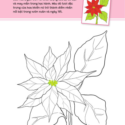 Sách - Yêu Quá Việt Nam - Các Loài Hoa