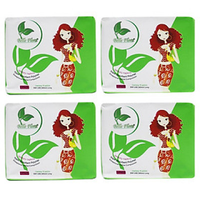 Bộ Băng vệ sinh ban ngày lưới BELLE FLORA