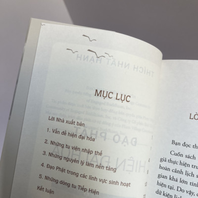 ĐẠO PHẬT HIỆN ĐẠI HÓA - Thích Nhất Hạnh - Thái Hà Books