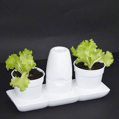 Chậu trồng rau sạch tự động tưới nước và tự chăm sóc rau tại nhà trong 2 tháng Minigarden Basic S (1 bộ gồm 2 chậu S, 1 khay hứng nước, 1 bình chứa nước và phân)