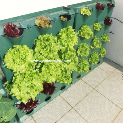 Khung Module Rau Ban Công (1M2 xếp ngang Có Tưới Nhỏ giọt bán tự động) dạng Đứng VerticalMinigarden nhập khẩu Bồ Đào Nha với 8 chậu kèm 2 Tray hứng nước và bộ dây tưới nhỏ giọt lắp sẵn