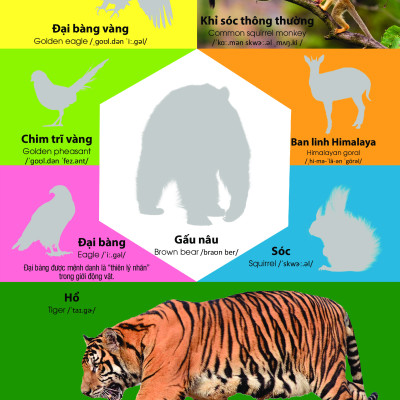 	Dán Hình Nhận Biết Động Vật - Động Vật Hoang Dã (Song Ngữ Việt-Anh) _DTI