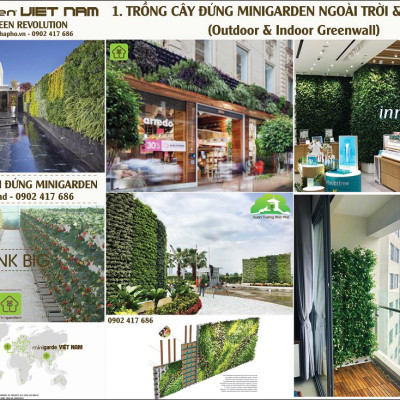 Chậu Trồng Cây Đứng Nhập Khẩu Châu Âu áp tường dạng tường xanh thẳng đứng hiệu Minigarden Vertical (Trọn bộ 3 SET + 1 KHAY nước)