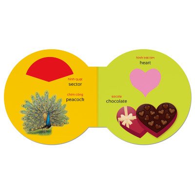 Picture Dictionary - Từ điển bằng hình - Hình dạng – Shapes