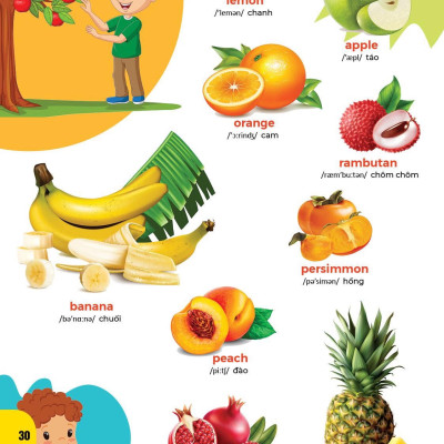 Bách khoa hình ảnh đầu tiên cho bé , song ngữ Anh - Việt , dành cho bé 0-6 tuổi( My First picture encyclopedia )bìa cứng