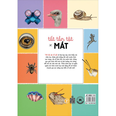 Tất Tần Tật Về Mắt - All About The Eye