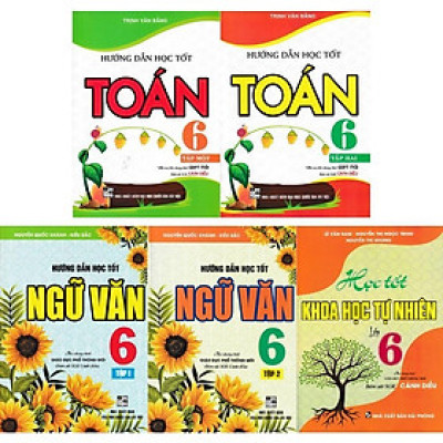 Sách - Hướng Dẫn Học Tốt Toán + Ngữ Văn + Khoa Học Tự Nhiên Lớp 6 - Bám Sát SGK Cánh Diều - Hồng Ân