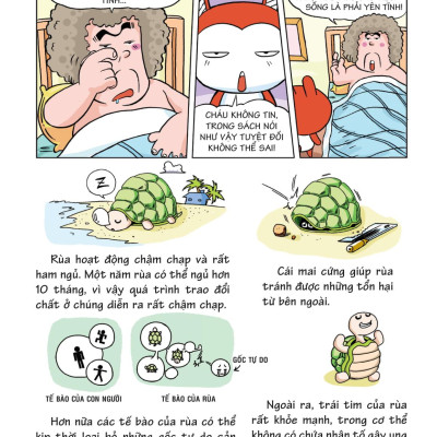 10 Vạn Câu Hỏi Vì Sao - Khám Phá Thế Giới Đại Dương 1 (Tái Bản)