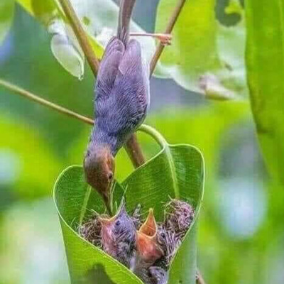 Combo 02 Cuốn Vì Sao Tớ Yêu Ông - Vì Sao Tớ Yêu Bà