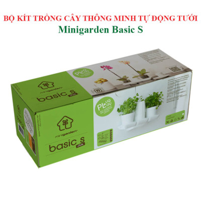 Bộ Trồng Cây Tự Dưỡng Để Bàn Ngày Tết Minigarden Basic S giúp cây văn phòng tự tưới nước và Tự sống tốt mà không cần chăm sóc cây