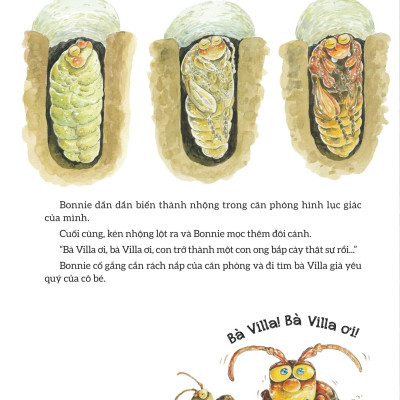 Sách - Truyện Tranh Khoa Học Về Các Loài Côn Trùng - Câu Chuyện Về Bà Villa Nghiêm Khắc - Ong Bắp Cày