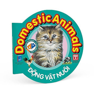 Picture Dictionary - Từ điển bằng hình