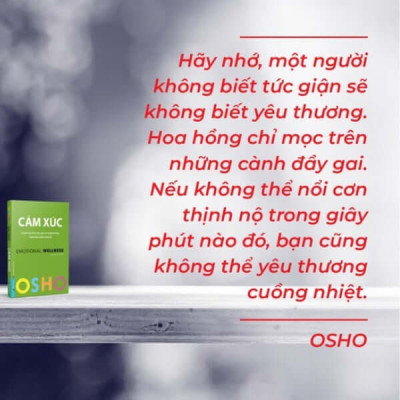 Osho - Cảm Xúc - Chuyển Hóa Nỗi Sợ Hãi, Giận Dữ Và Ghen Tuông Thành Năng Lượng Sáng Tạo - Bìa mềm - First News