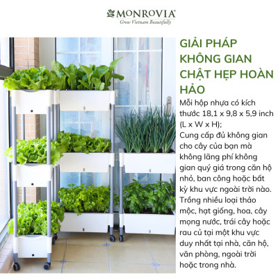 Kệ trồng rau tự tưới D202 MONROVIA cho rau, hoa, có bánh xe di chuyển thuận lợi