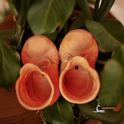 Chậu Hình Chiếc Giày - Chậu  Đất Nung Trồng Cây Size 15cm