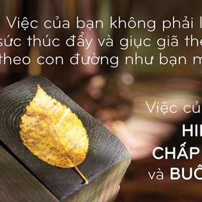 Hạnh Phúc Đến Từ Sự Biến Mất