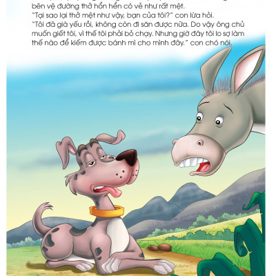 Những câu chuyện tuyệt vời - Những Nhạc Sĩ Thành Bremen