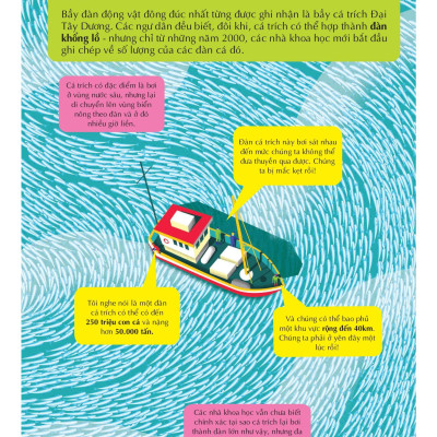 100 Bí Ẩn Đáng Kinh Ngạc Về Các Đại Dương - 100 Things To Know About The Oceans