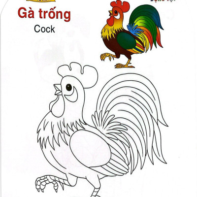 Thỏ Con Khéo Tay - Bé Tô Màu: Động Vật