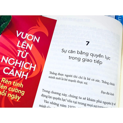 Vươn lên từ nghịch cảnh: Rèn tính kiên cường mỗi ngày (NXB Trẻ)