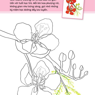 Sách - Yêu Quá Việt Nam - Các Loài Hoa