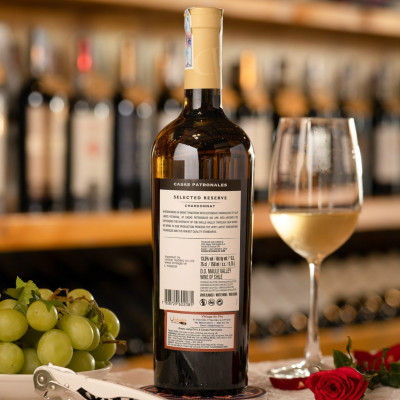 Vang Casas Patronales Selected Chardonnay