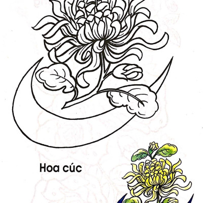 Tập Tô Màu Các Loại Hoa