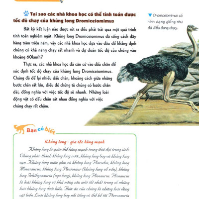 Khám Phá Bí Ẩn Thế Giới Tự Nhiên Dành Cho Học Sinh : Khủng Long_ML