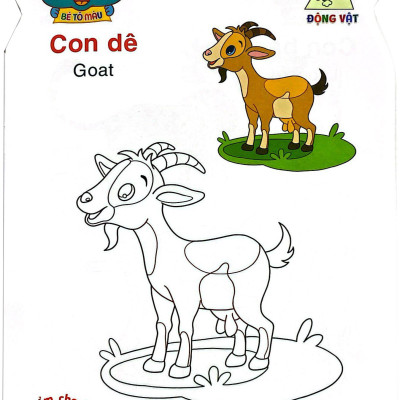 Thỏ Con Khéo Tay - Bé Tô Màu: Động Vật