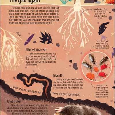 Under Your Feet - Dưới Đôi Bàn Chân Bạn - Đất, Cát Và Ti Tỉ Thứ Dưới Lòng Đất