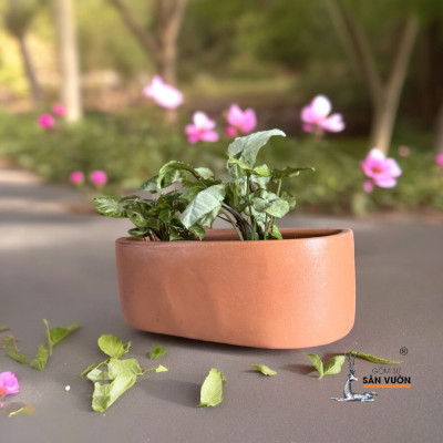 Chậu Treo Tường Gốm Đất Nung Hình Chữ Nhật Tròn