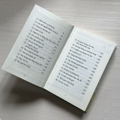 Sách - Chân Lí Vô Thường - Tập 22 - Tuyển Tập Ranh Giới Giữa Mê Và Ngộ - Vĩnh Nghiêm Books