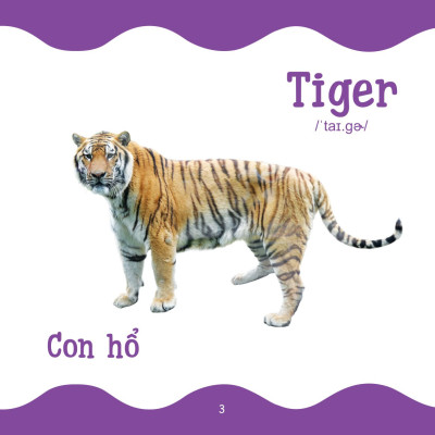 Cùng Con Trưởng Thành - Từ Điển Bằng Hình Cho Trẻ Mầm Non - Động Vật Hoang Dã _DTI