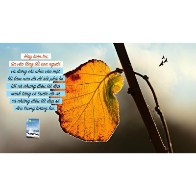 Sách - Bản Giao Hưởng Cuộc Sống - Ấn Bản Đặc Biệt Hạt Giống Tâm Hồn