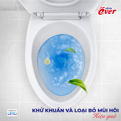 Combo 10 vỉ viên treo bồn cầu hương Lavender tặng kèm 4 vỉ hương Chanh