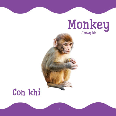 Cùng Con Trưởng Thành - Từ Điển Bằng Hình Cho Trẻ Mầm Non - Động Vật Hoang Dã _DTI