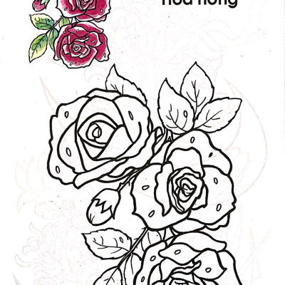 Tập Tô Màu Các Loại Hoa