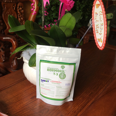 Nhập Khẩu Bột Kích Ra Rễ Israel cho cây thân Thảo, thân Mềm Hormoril T3 (with Fungicide)  có thành phần ngăn ngừa nấm bệnh cho rễ con 
