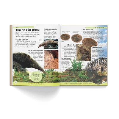 Sách - Bách Khoa Động Vật - Mở Mang Kiến Thức, Khơi Dậy Tiềm Năng (Tái Bản 2021)