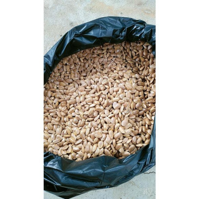 01KG Hạt Bình Bát (Na Xiêm) Khô Loại 01 946s