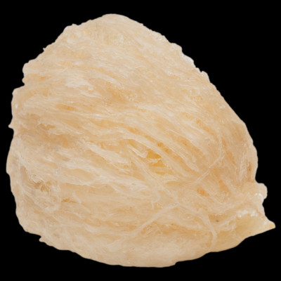 Tổ Yến Trắng Sơ Chế - Nhà Yến Nha Trang - Loại Chất Lượng 5.0 - Hộp 100 Gram - Tổ Yến Sơ Chế - Hàng Chính Hãng