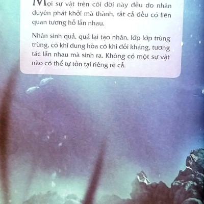 Muôn Kiếp Nhân Sinh Tập 1 - Nguyên Phong (John Vu) - (Bìa mềm)