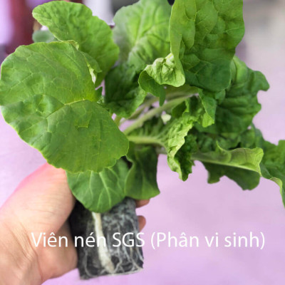 08 Chậu trồng rau thông minh Không thay đất Vertical (Màu Xanh) có tưới nhỏ giọt và bón phân Bán tự động nhập khẩu Bồ Đào Nha ( dành khu vực Không có vòi cấp)